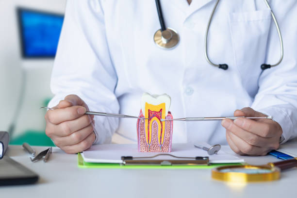 Best Pediatric Emergency Dentist in Lexington, TN